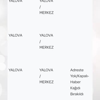 PTT Kargo'nun Teslimat Sorunu: Ehliyetim Hala Şubede Bekliyor