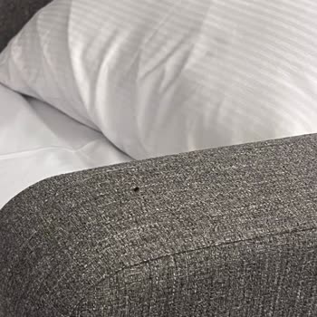 Sağlık Kurumunda Hijyen Sorunu