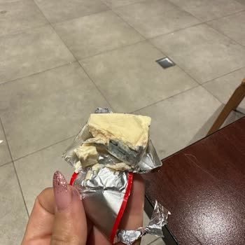 Üçgen Peynirlerde Küf Sorunu