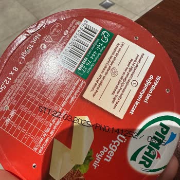 Üçgen Peynirlerde Küf Sorunu