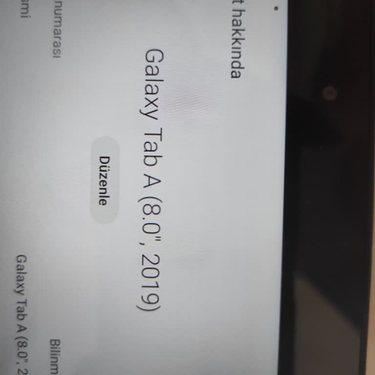 Samsung Tablet Performans Sorunu