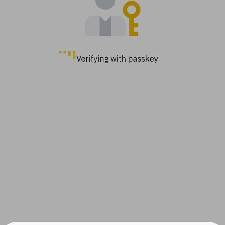Binance Hesabına Erişimde Risk Uyarısı Sorunu