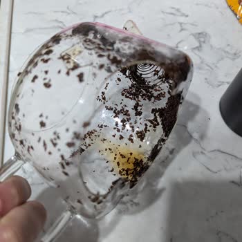 Cam Demlik Kendiliğinden Kırıldı Müşteri Hizmetleri İlgisiz