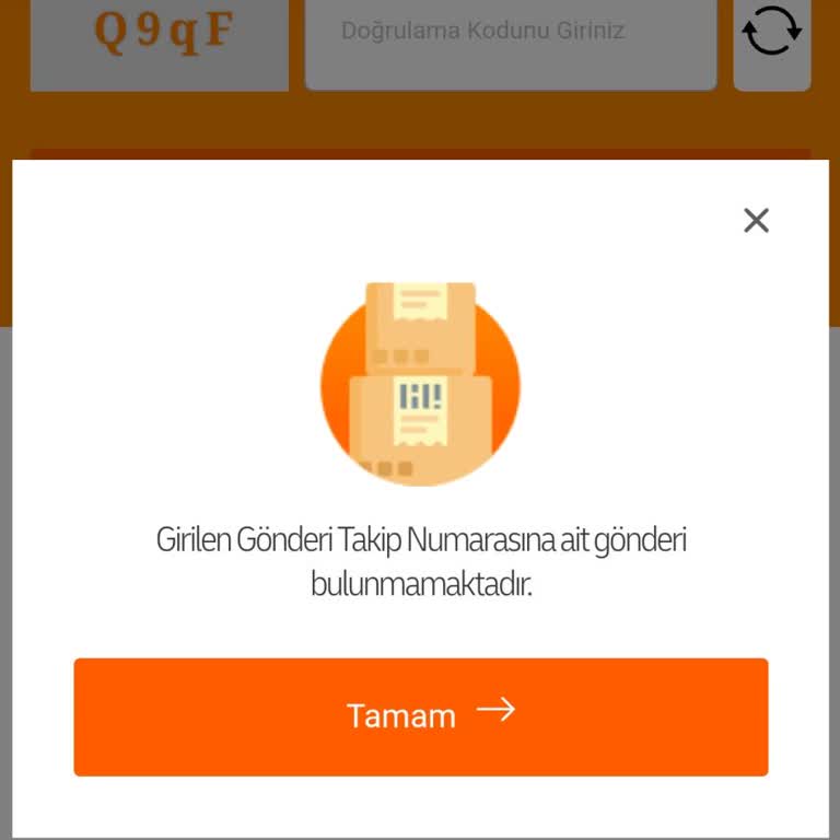 MNG Kargo Takip Numarası Sorunu: Gönderi Bulunamıyor