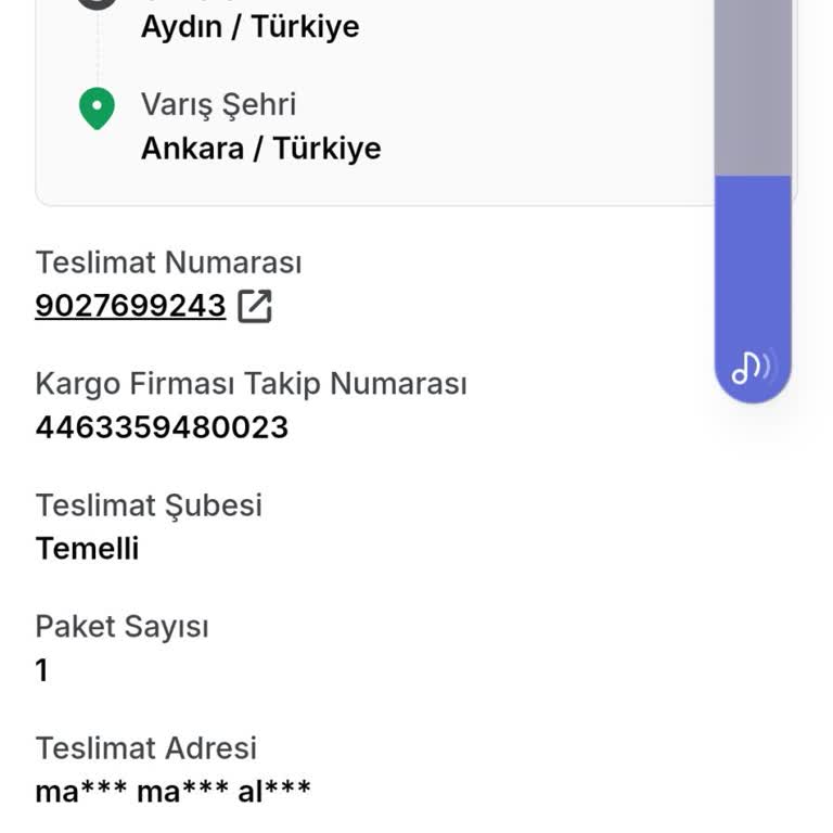 Trendyol Siparişim Kargoda Kayboldu: Çözüm Bekliyorum