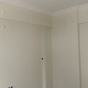 Renk Kartelasına Uymayan Boya Sorunu