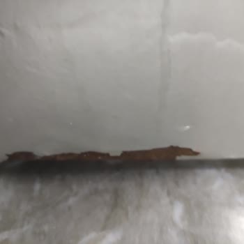 Bosch Paslanan Inox Çamaşır Makinesi Sorunu