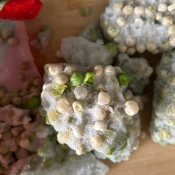 Superfresh Dondurulmuş Bezelye Renk Sorunu