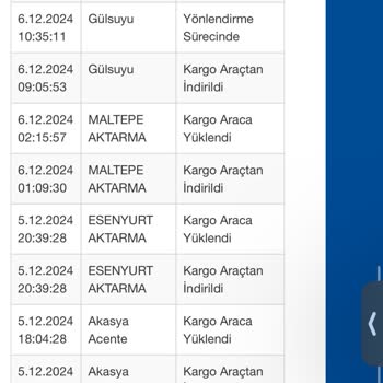 Kayıp Kargo: Sürat Kargo'nun Teslimat Sorunu