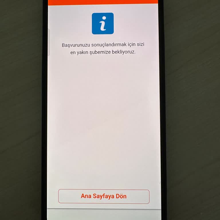 ING Kredi Başvurusunda Şube Engeli