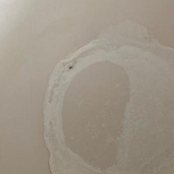 Dr. Oetker Ürününde Böcek Şoku