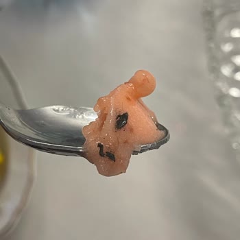 Pela Sorbenin İçinde Yabancı Maddeler