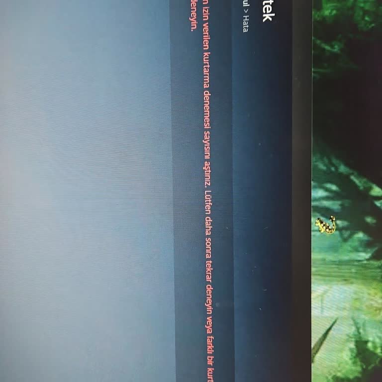 Locked Out of My Steam Account Despite Trying All Recovery Options