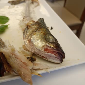 İBB Sosyal Tesisleri Pişmemiş Balık Ve Kötü Hizmet Deneyimi