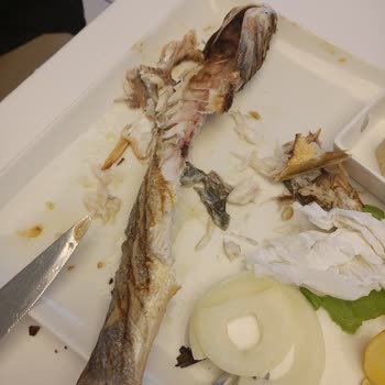 İBB Sosyal Tesisleri Pişmemiş Balık Ve Kötü Hizmet Deneyimi