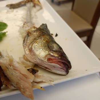 İBB Sosyal Tesisleri Pişmemiş Balık Ve Kötü Hizmet Deneyimi