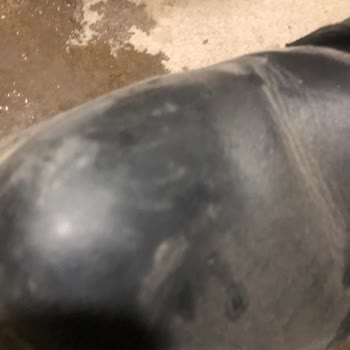 Lumberjack Ayakkabılarında Kalite Sorunu