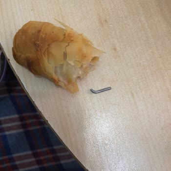 A101'den Alınan Börekten Çıkan Çivi Şoku