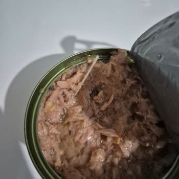 Ton Balığı İçinden Çıkan Kılçık Tehlikesi