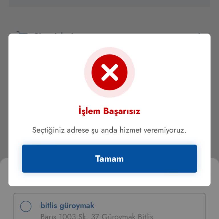 Hizmet Kesintisi Ve Müşteri Hizmetleri Sorunu
