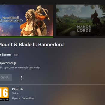 Xbox Ve Steam Üzerinde Bannerlord Erişim Sorunu