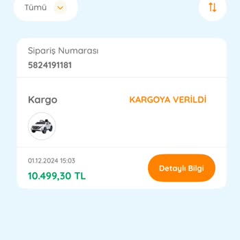 Kayıp Kargo Ve Mağduriyet