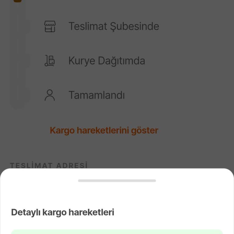 Kargomun Teslimat Sürecindeki Belirsizlik Ve Müşteri Hizmetleri Sorunu