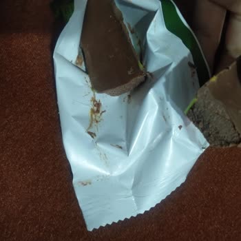 Boş Çikolata Paketiyle Şok Yaşadım