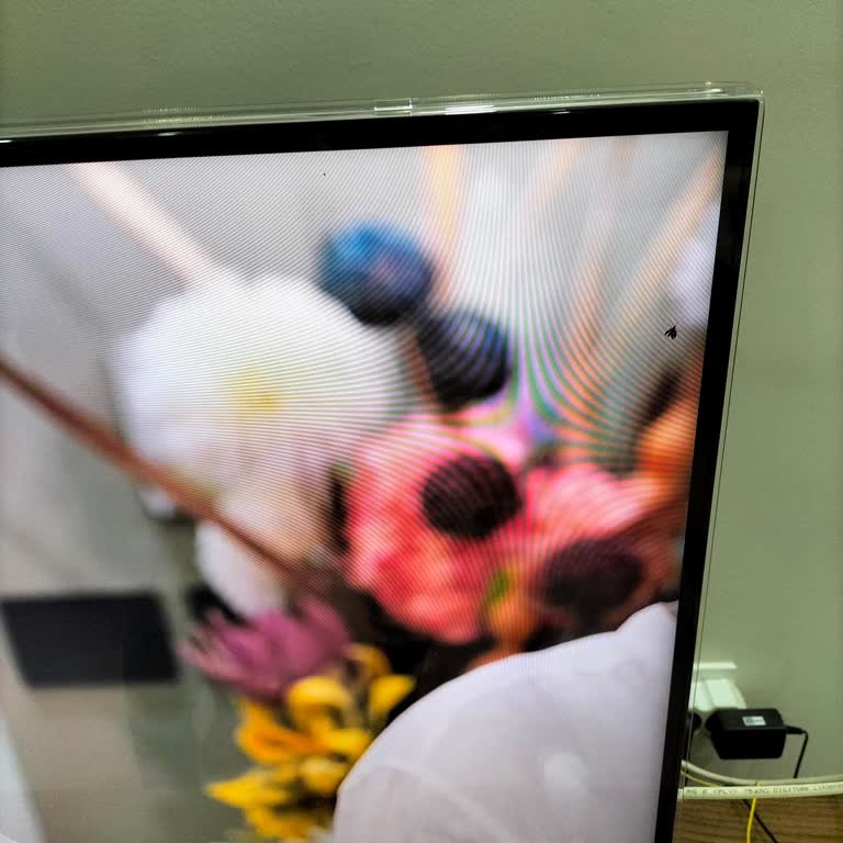 Samsung TV Ekranında Sinek Sorunu