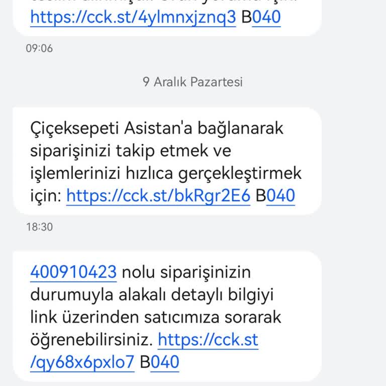 Çiçek Sepeti Siparişim Teslim Edilmedi!