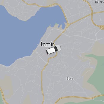 Araç Kilitlenmesi Ve Güvenlik Sorunu