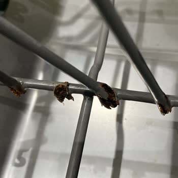 Teka Bulaşık Makinesi Sepetlerinde Paslanma Sorunu