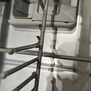 Teka Bulaşık Makinesi Sepetlerinde Paslanma Sorunu