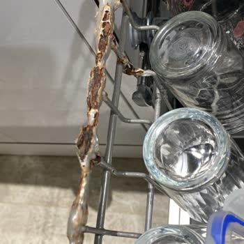 Teka Bulaşık Makinesi Sepetlerinde Paslanma Sorunu