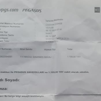 Kayıp Bagaj Ve Eksik Eşyalarla Frankfurt Yolculuğu