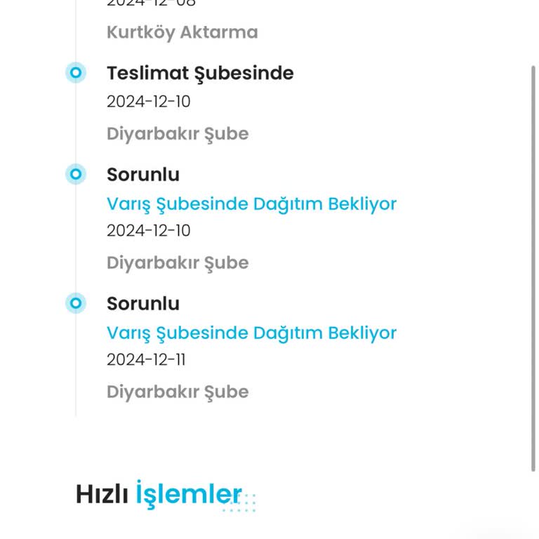 Kargo Sorunu: Ürünler Sürekli Dağıtımda Takılıyor