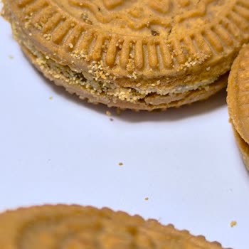 Kurtlu Bisküvi Şoku!