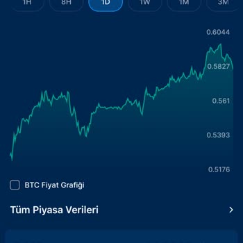 Yatırım Yaptığım Para Hesabıma Yansımadı