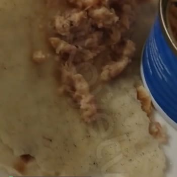 Kalite Tonla Ton Balığı İçindeki Siyah Parça!