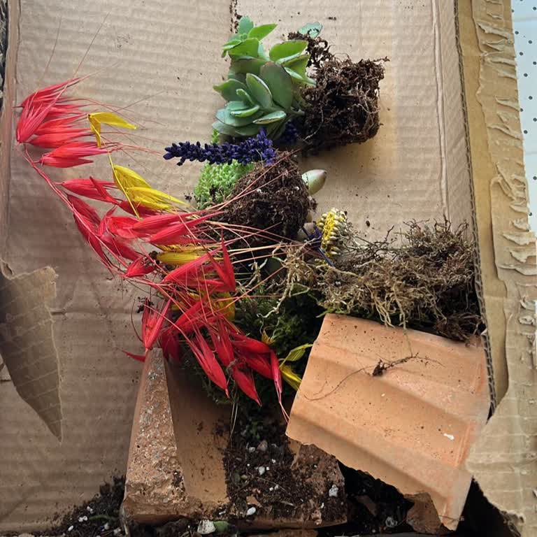 Kırık Saksı Ve Cevapsız Canlı Destek