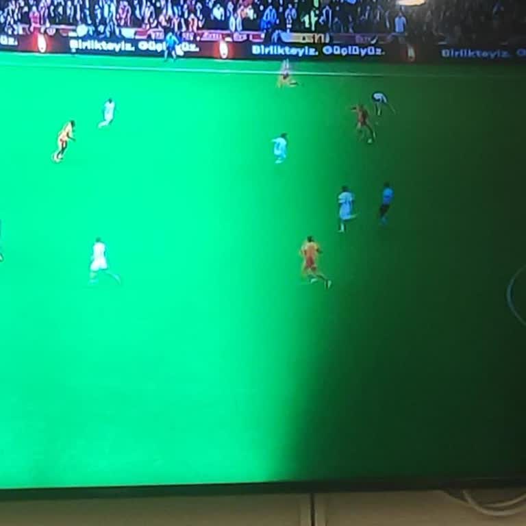 Samsung TV'de Kararma Sorunu Ve Mağduriyet