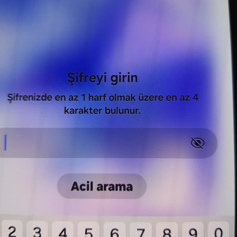 Telefon Şifre Sorunu Nedeniyle Kullanılamıyor