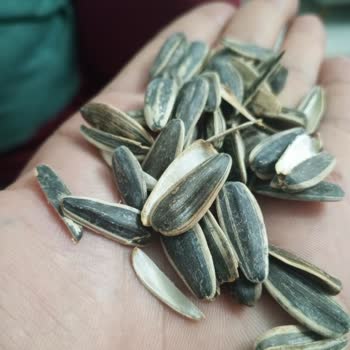 Amigo Marka Siyah Çekirdekte Şok Edici Durum