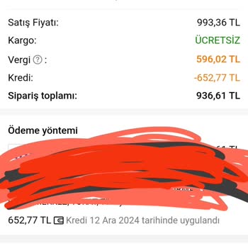 Temu'da İptal Edilen Siparişin İadesi Sorunu