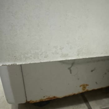 Altus Çamaşır Makinesinin Sorunları Çözülmüyor!