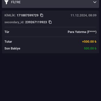 Ödeme Sorunları Ve Destek Yanıtlarıyla İlgili Şikayet