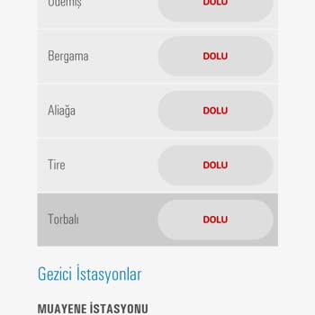 İzmir'de Araç Vizesi İçin Randevu Krizi