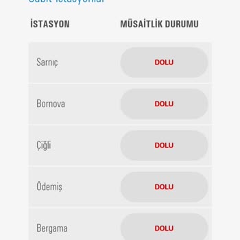 İzmir'de Araç Vizesi İçin Randevu Krizi