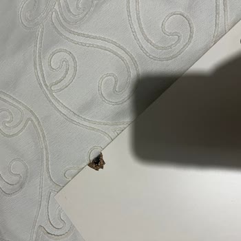 Tehlike Yaratan Kırık Dolap Rafı