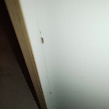 Çetmen Mobilya: Defolu Ürün Ve Bitmeyen Tespit Süreci